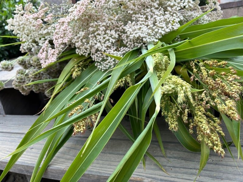 Fresh cut herbs bundled